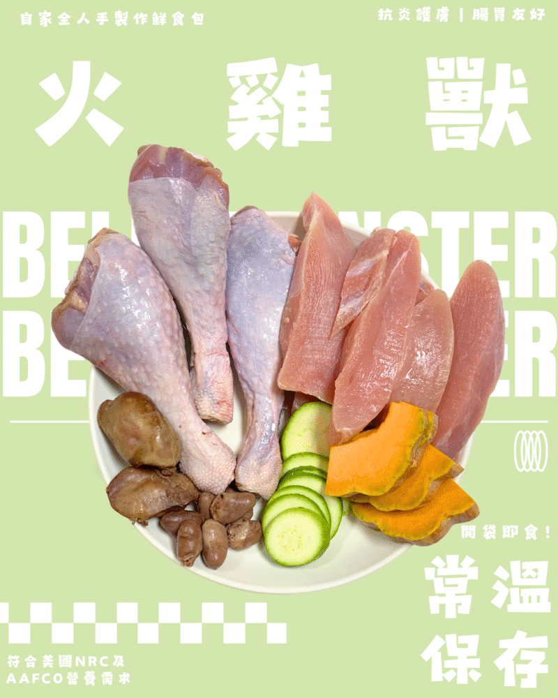 【狗狗鮮食-火雞口味】 火雞獸🦃｜抗炎｜腸胃養護