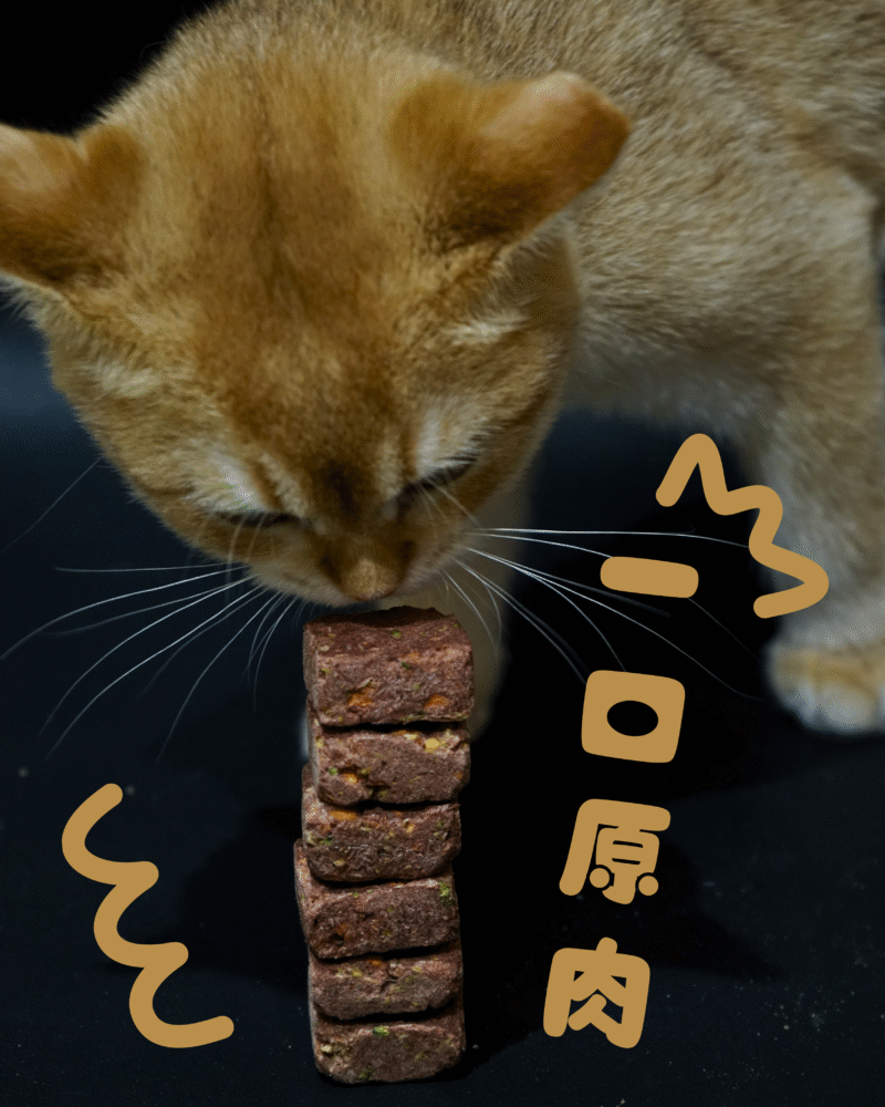 【一口原肉凍乾糧】 鱷魚肉口味 | 低敏腸護配方