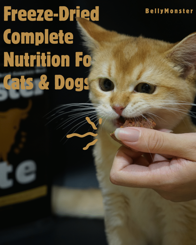 【一口原肉凍乾糧】牛肉口味 | 高蛋白亮毛配方