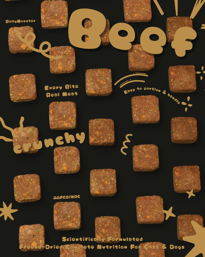 【一口原肉凍乾糧】牛肉口味 | 高蛋白亮毛配方