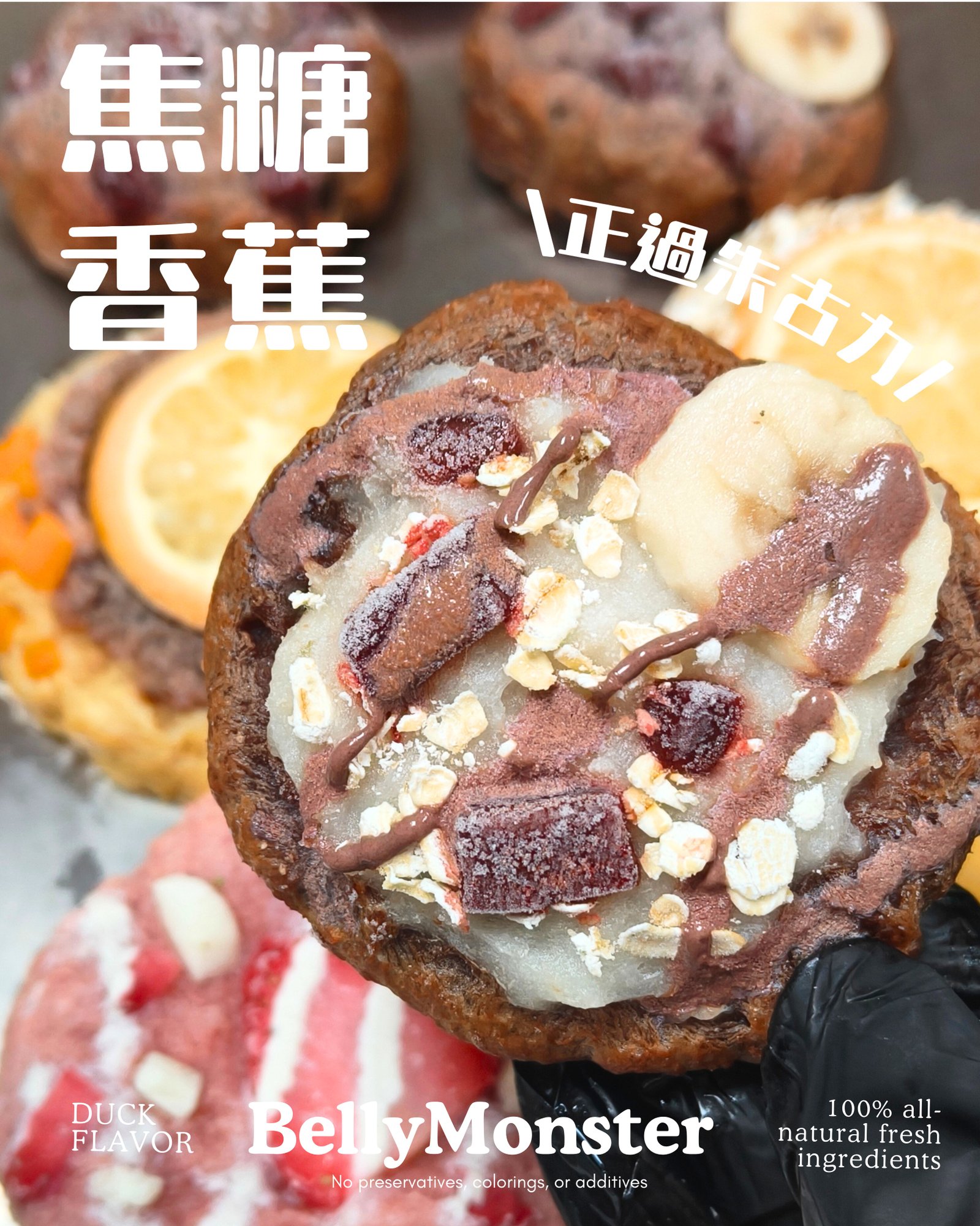 寵物美式曲奇凍乾 – 4