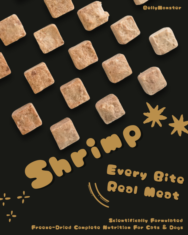 【一口原肉凍乾糧】 蝦肉口味 | 高蛋白護膚關節配方